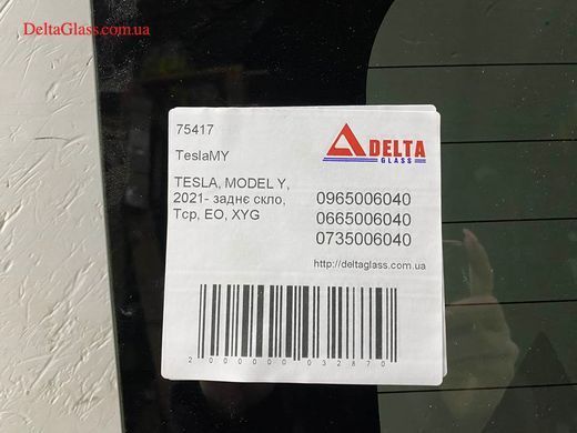 TESLA, MODEL Y, 2021- панорамний дах, тоноване в молдингу VELTRIO