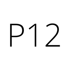 P12